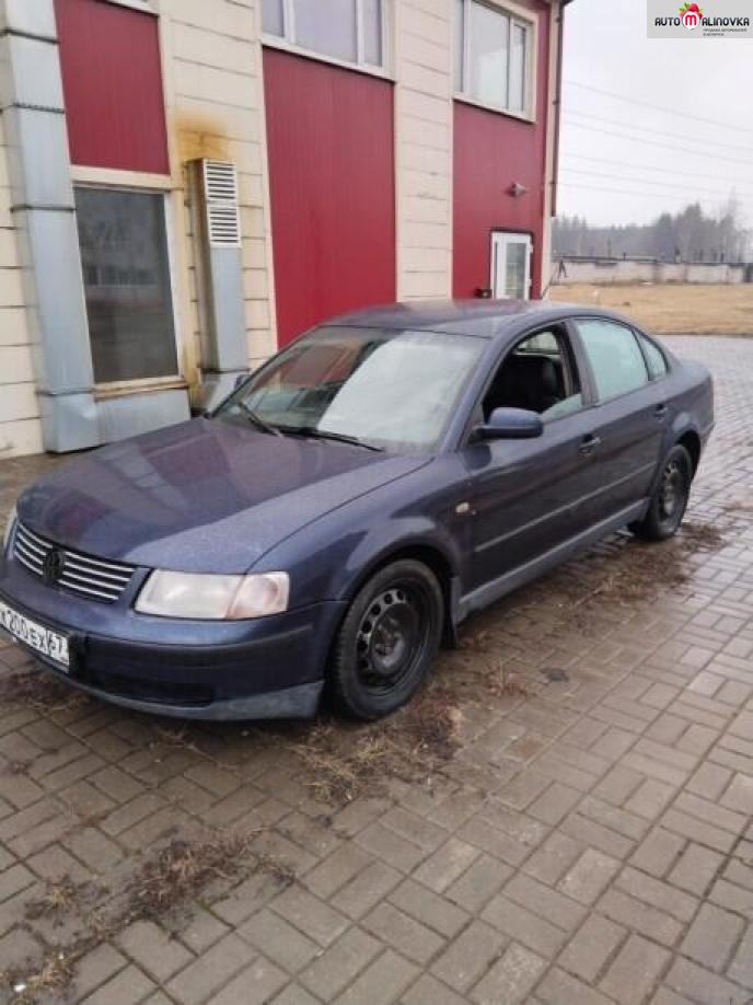 Купить Volkswagen Passat B5 в городе Могилев
