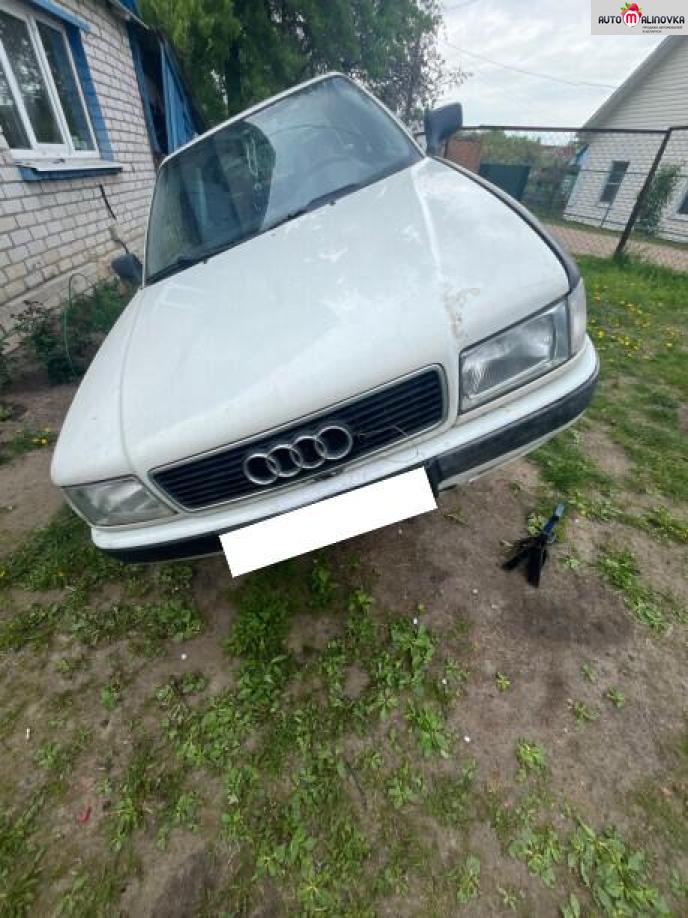 Купить Audi 80 V (B4) в городе Могилев