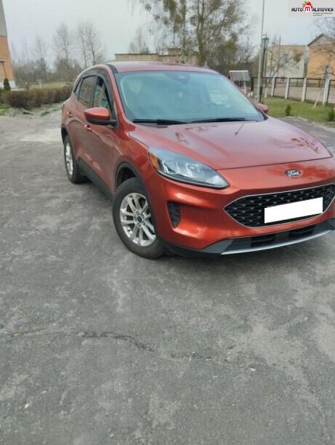 Купить Ford Escape IV в городе Минск