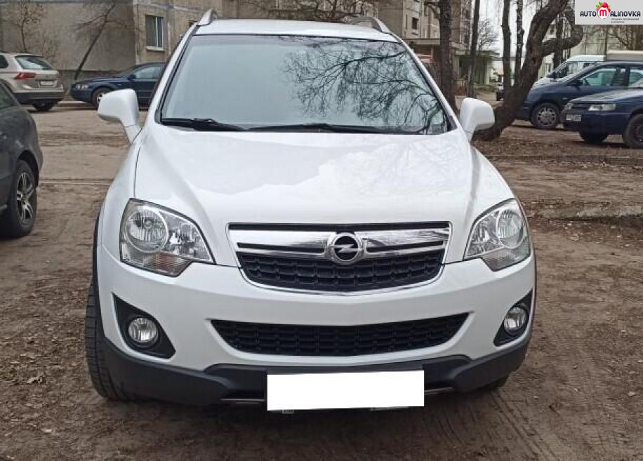 Купить Opel Antara I в городе Борисов