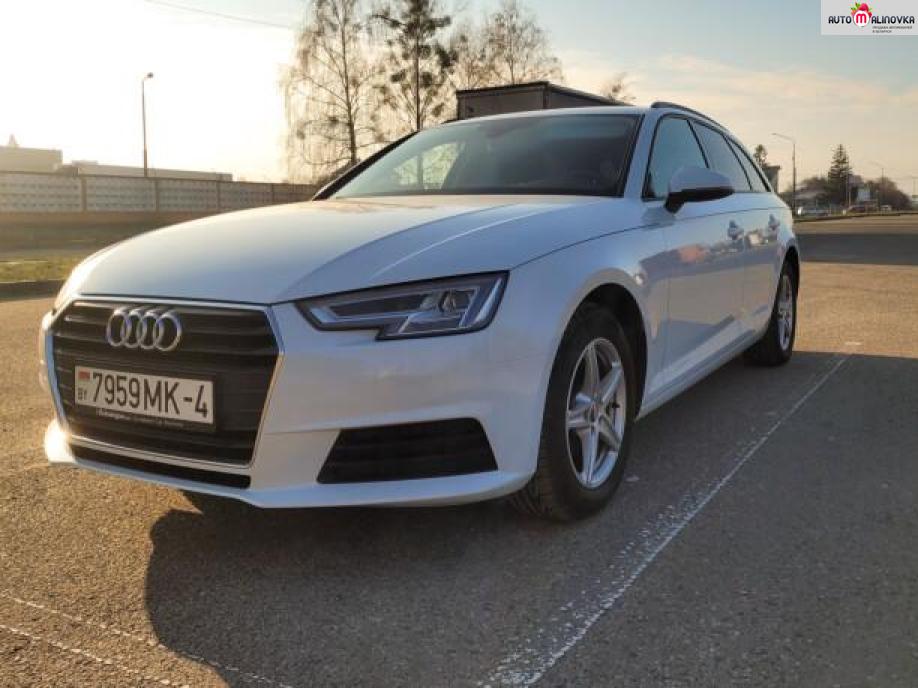 Купить Audi A4 V (B9) в городе Гродно