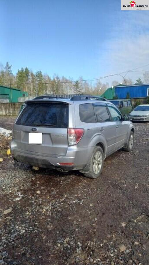 Купить Subaru Forester III в городе Минск