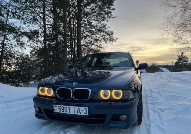 Купить BMW 5 серия в городе Петриков