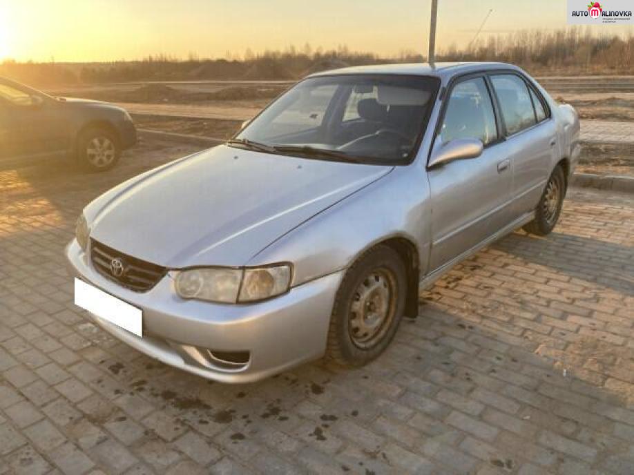 Купить Toyota Corolla VIII (E110) Рестайлинг в городе Полоцк