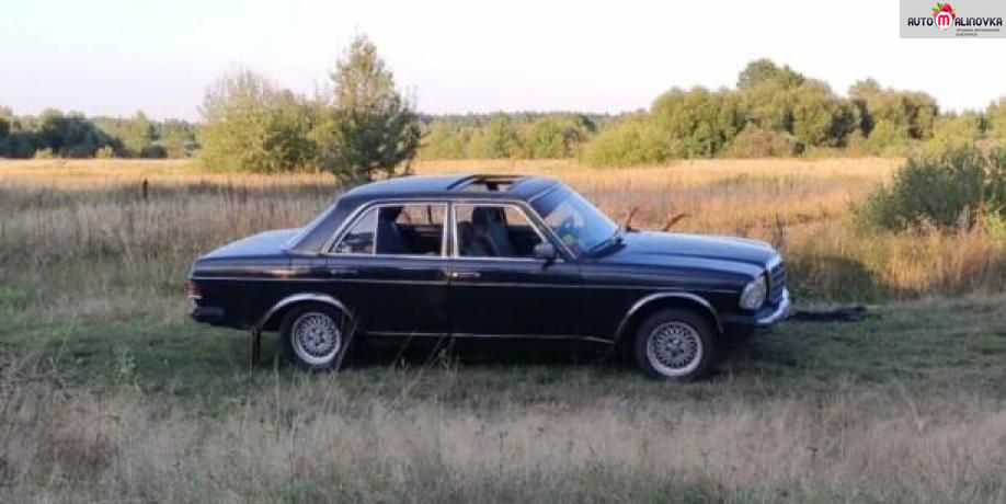 Купить Mercedes-Benz W123 в городе Костюковичи