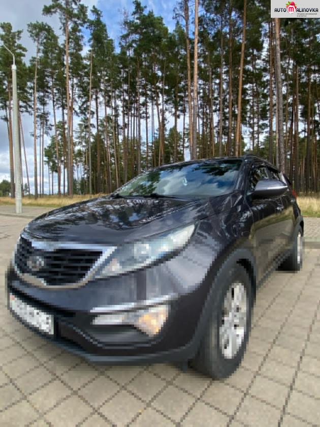 Купить Kia Sportage III в городе Борисов