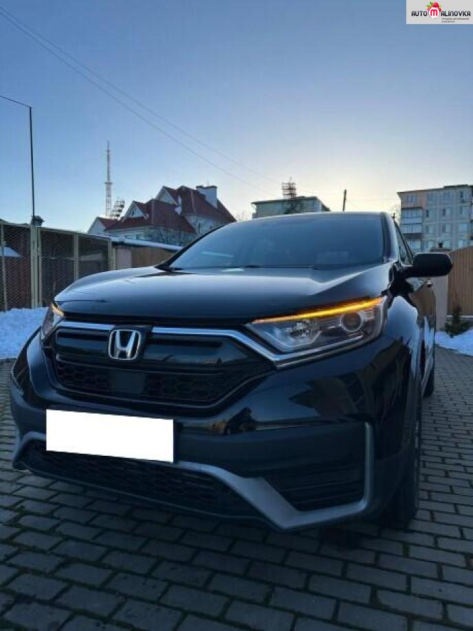 Купить Honda CR-V V в городе Гомель