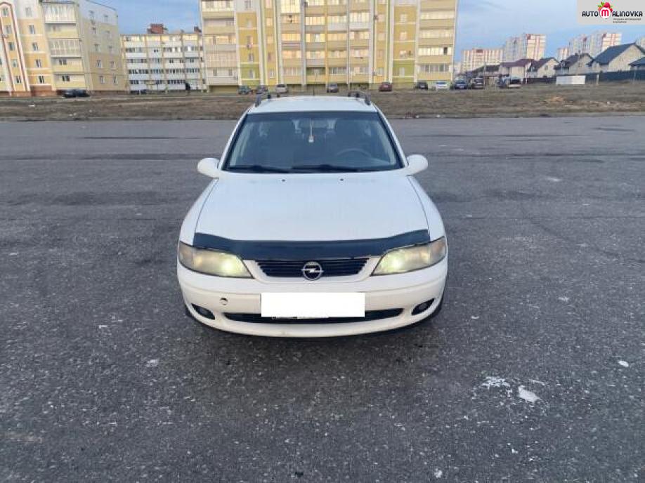 Купить Opel Vectra B в городе Мозырь