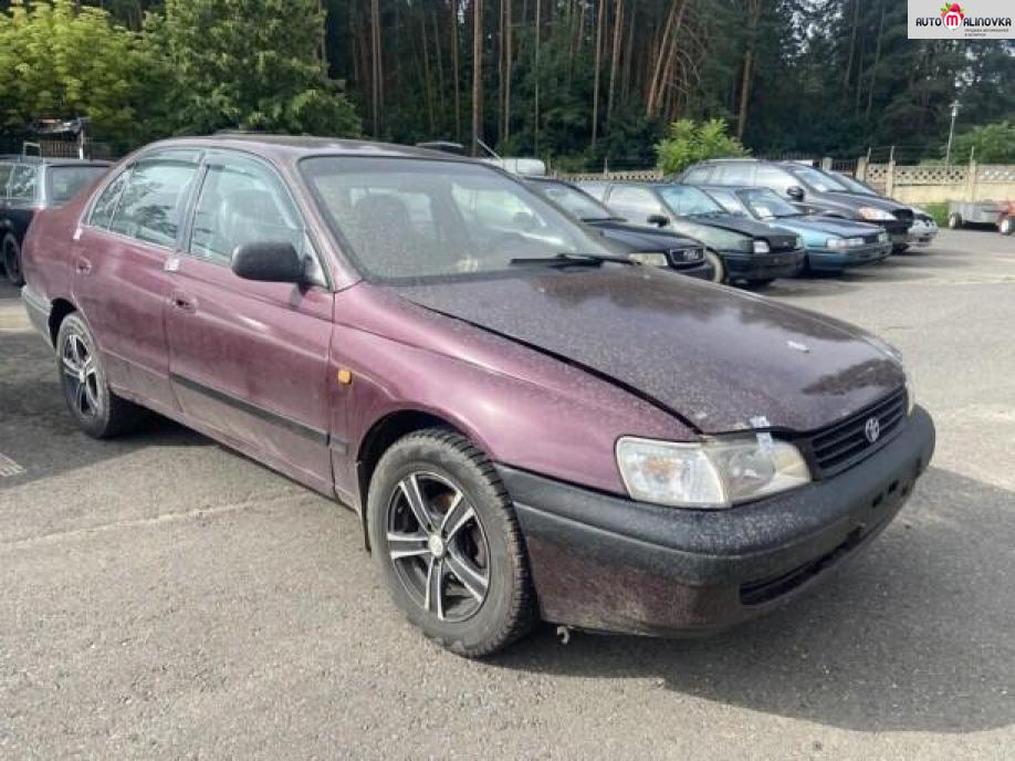 Купить Toyota Carina в городе Минск