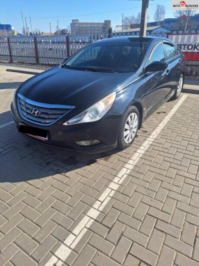 Купить Hyundai Sonata VI (YF) в городе Смолевичи