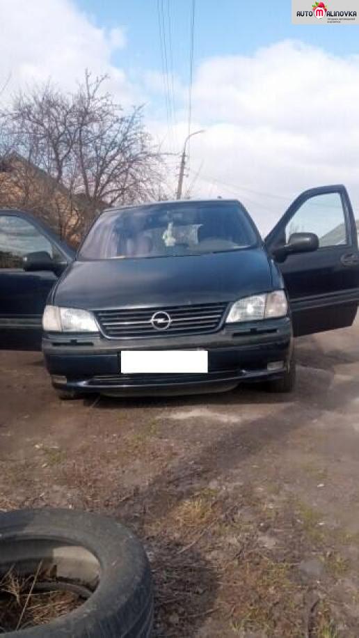 Купить Opel Sintra в городе Пинск
