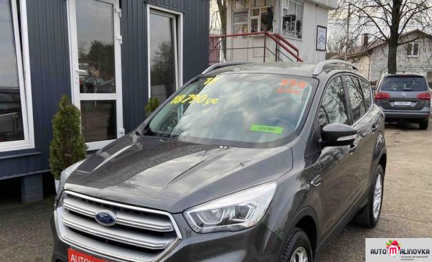 Купить Ford Kuga II в городе Гродно