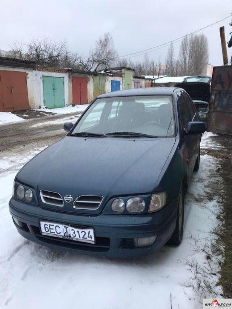 Купить Nissan Primera II (P11) в городе Бобруйск