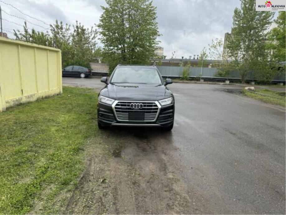 Купить Audi Q5 в городе Витебск