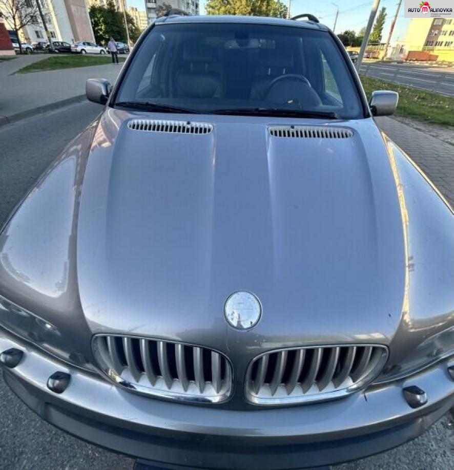 Купить BMW X5 I (E53) Рестайлинг в городе Гомель