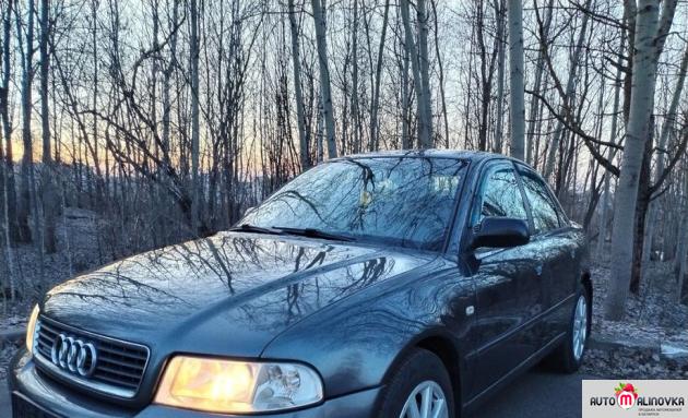 Купить Audi A4 I (B5) в городе Могилев