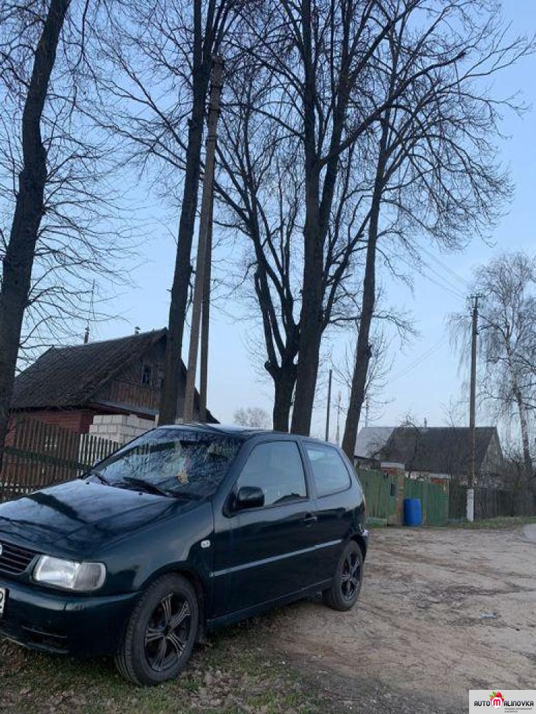 Купить Volkswagen Polo III в городе Витебск