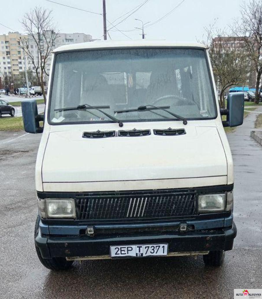Купить Fiat в городе Витебск