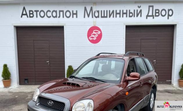 Купить Hyundai Santa FE I в городе Могилев