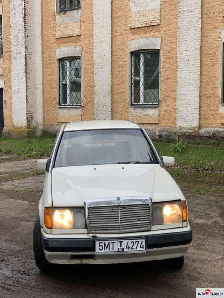 Купить Mercedes-Benz W124  в городе Полоцк