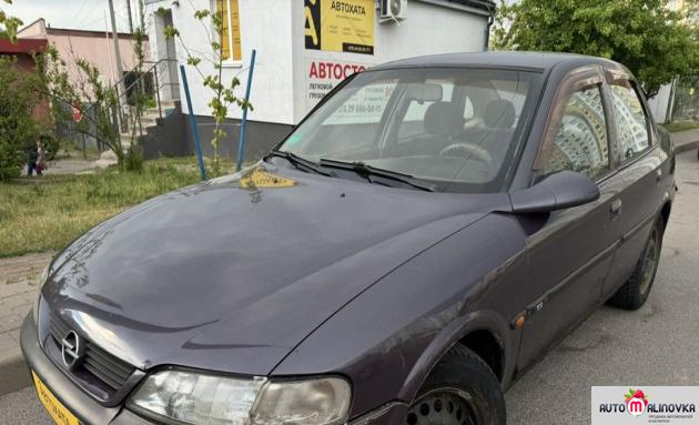 Купить Opel Vectra B в городе Гомель