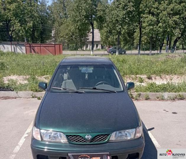 Купить Nissan Almera I (N15) в городе Витебск