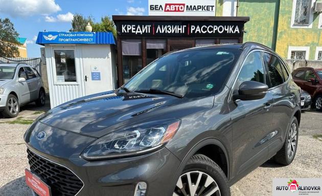 Купить Ford Escape IV в городе Мозырь