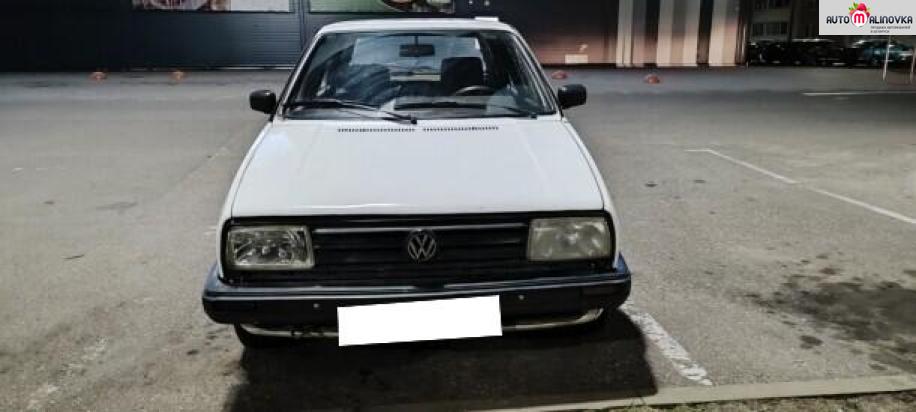 Купить Volkswagen Golf II в городе Брест