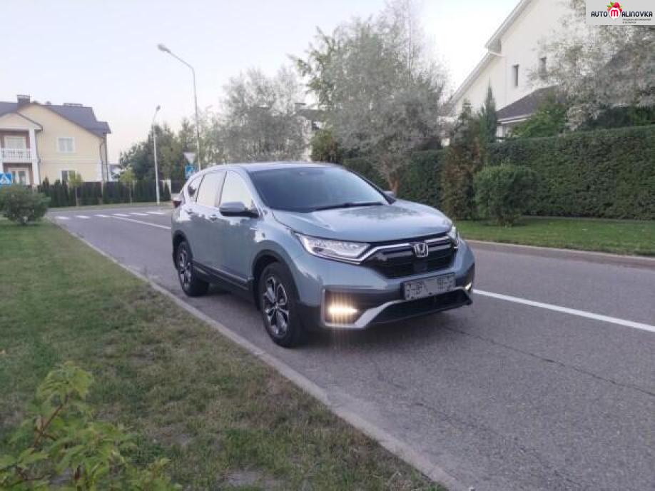 Купить Honda CR-V V в городе Минск