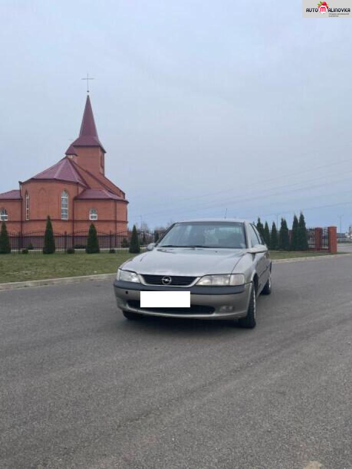 Купить Opel Vectra B в городе Барановичи