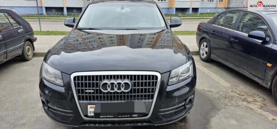 Купить Audi Q5 в городе Жодино