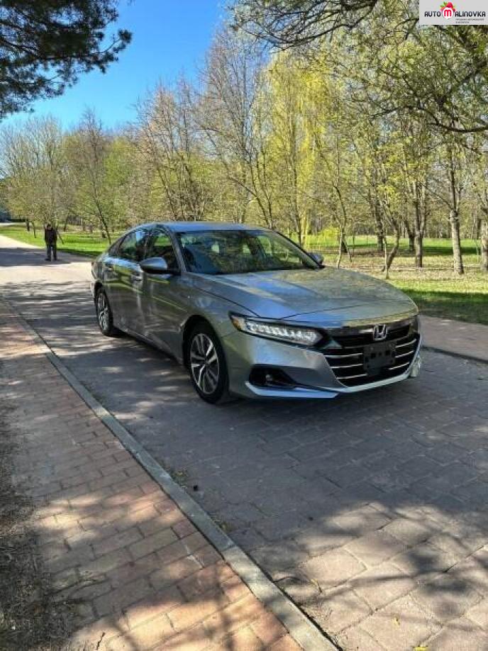 Купить Honda Accord X в городе Минск