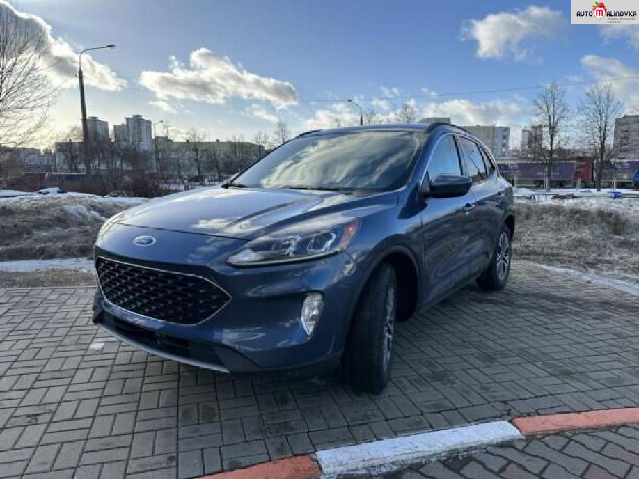 Купить Ford Escape IV в городе Минск