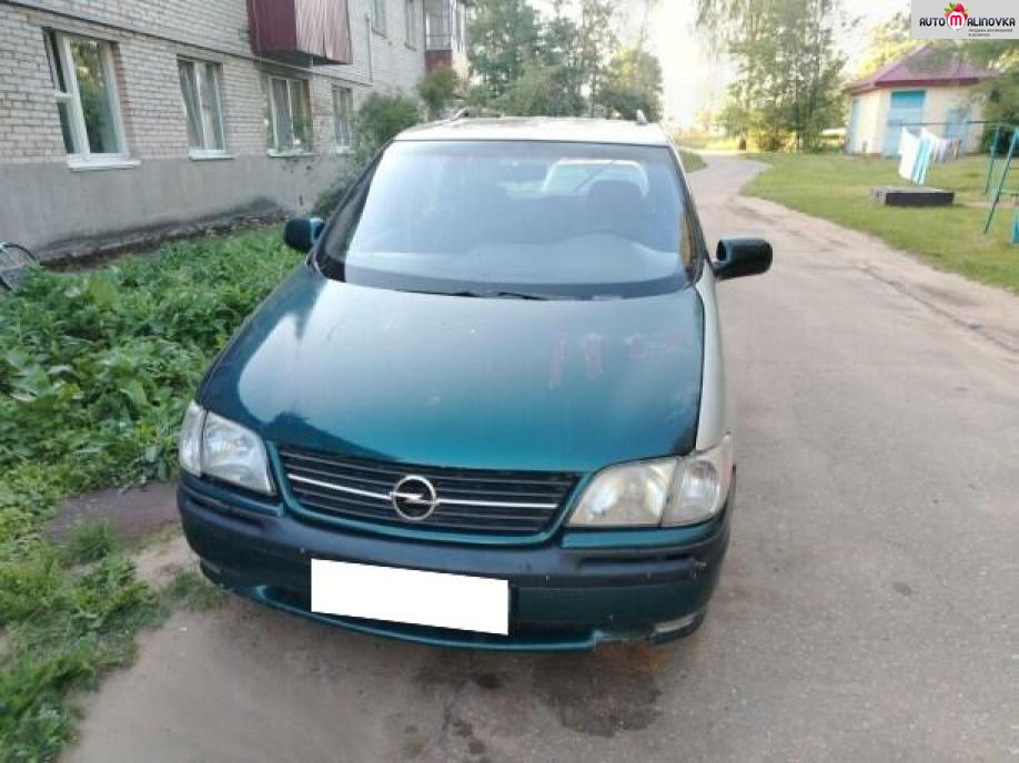 Купить Opel Sintra в городе Витебск