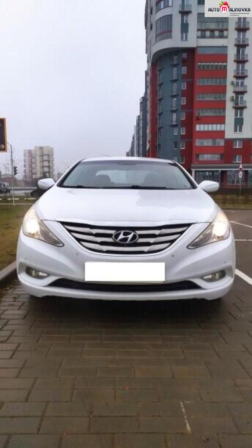 Купить Hyundai Sonata VI (YF) в городе Брест