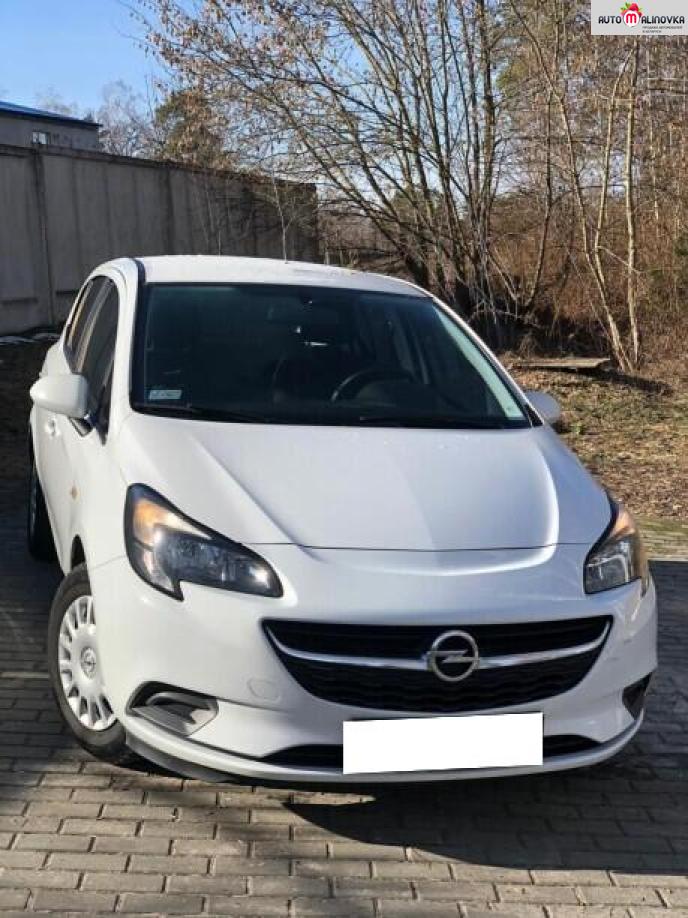 Купить Opel Corsa E в городе Мозырь