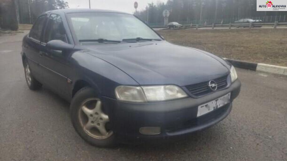 Купить Opel Vectra B в городе Минск