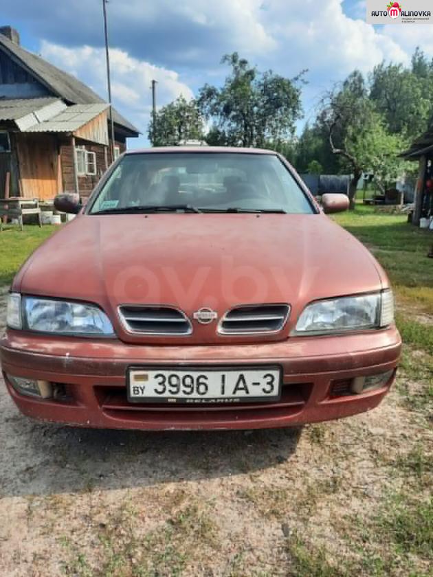 Купить Nissan Primera II (P11) в городе Речица