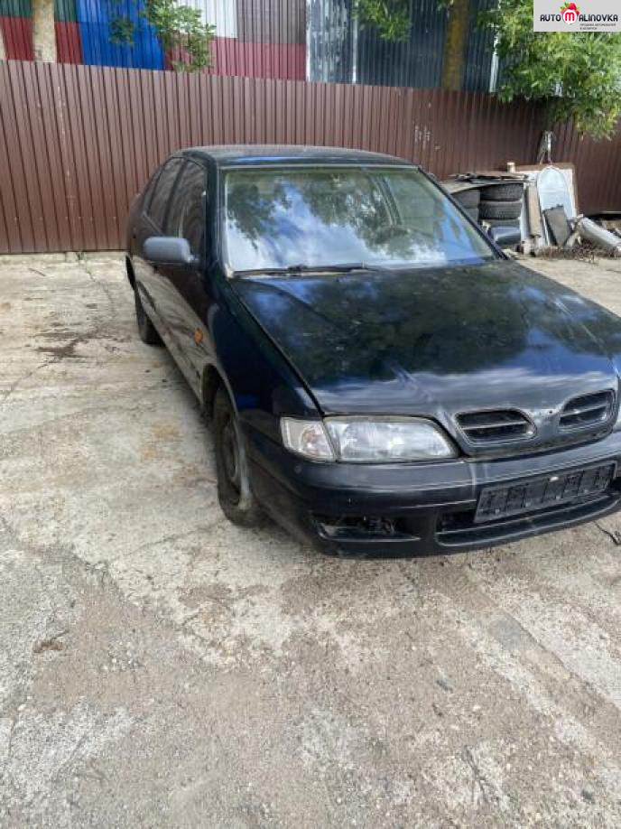 Купить Nissan Primera II (P11) в городе Молодечно