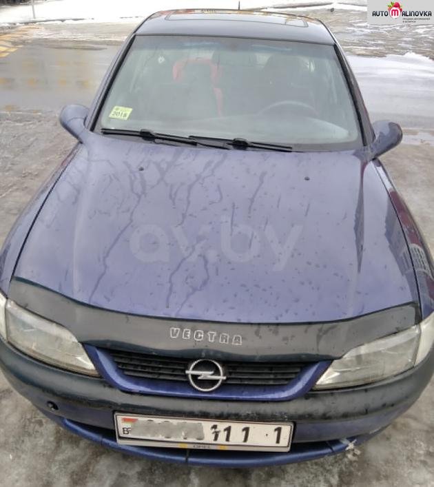 Купить Opel Vectra B в городе Пинск