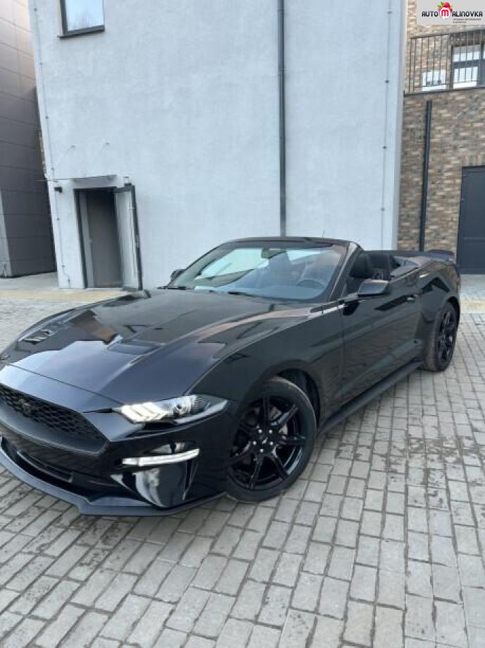 Купить Ford Mustang VI в городе Гродно