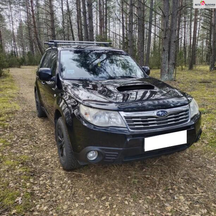 Купить Subaru Forester III в городе Гродно