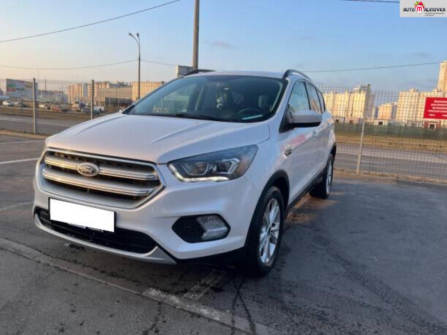 Купить Ford Escape III в городе Минск
