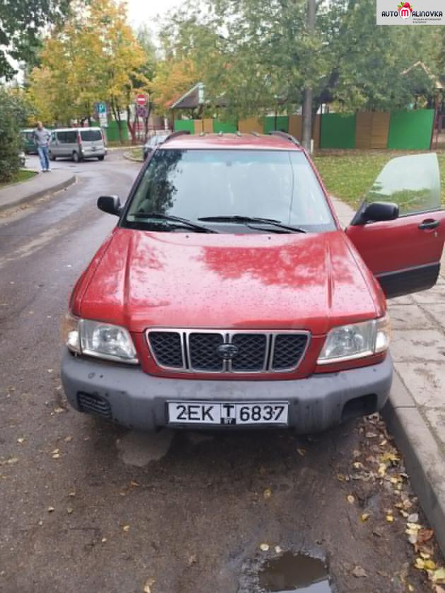 Купить Subaru Forester I в городе Минск