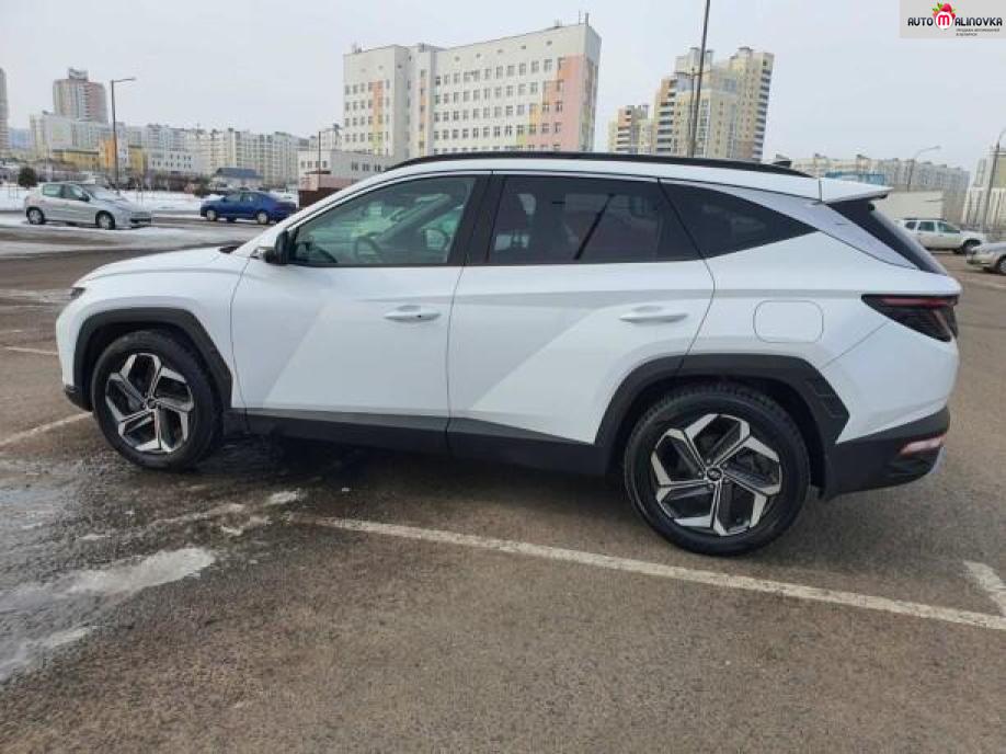 Купить Hyundai Tucson IV в городе Минск