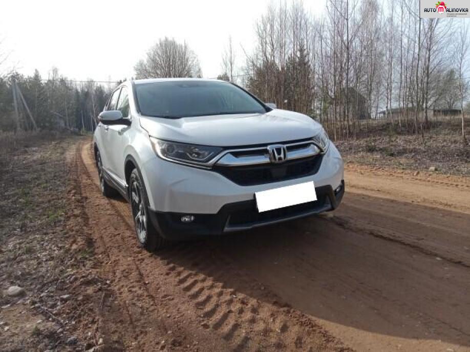 Купить Honda CR-V V в городе Минск