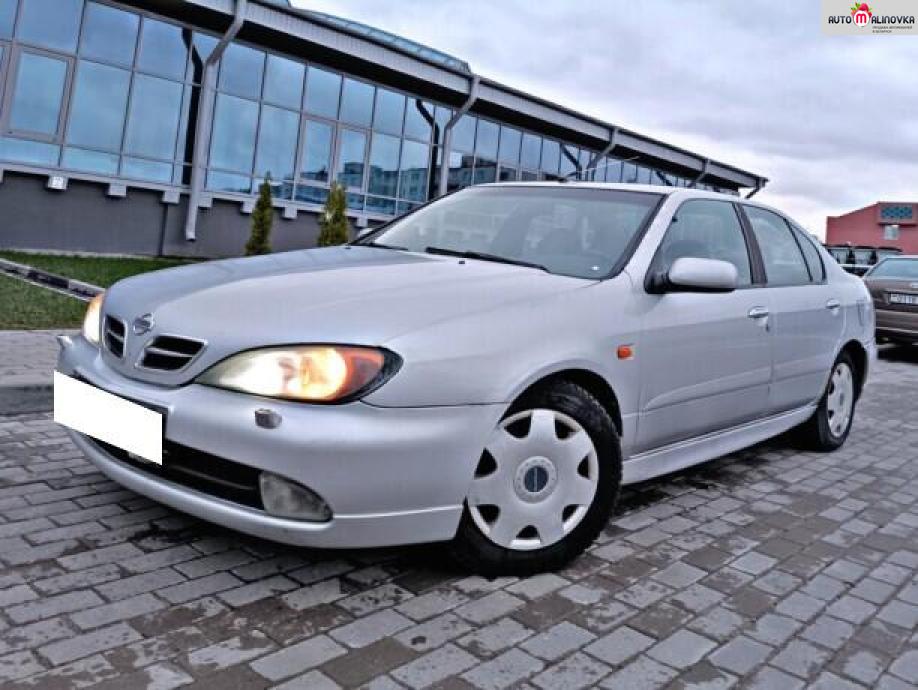 Купить Nissan Primera II (P11) Рестайлинг в городе Минск