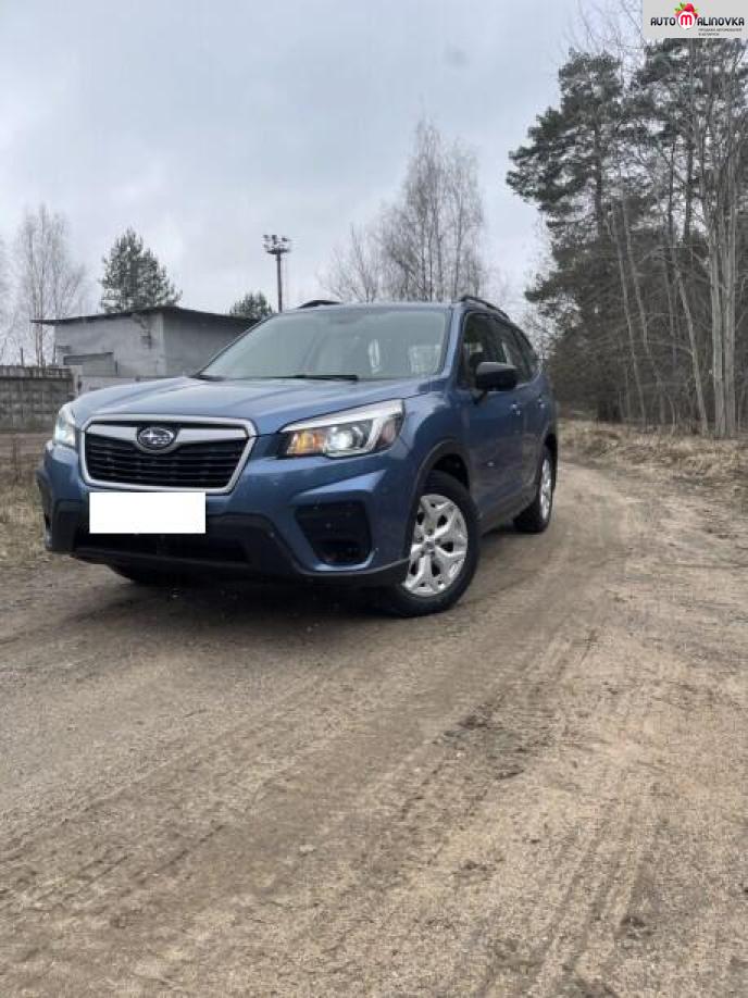 Купить Subaru Forester V в городе Минск
