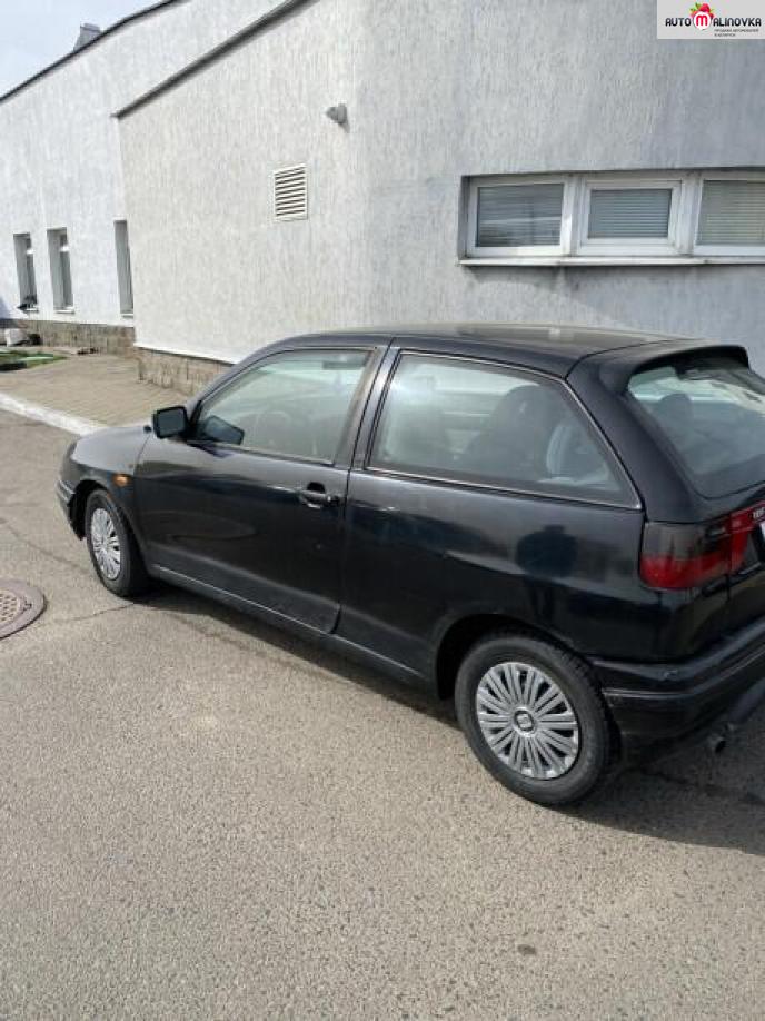Купить SEAT Ibiza II в городе Минск