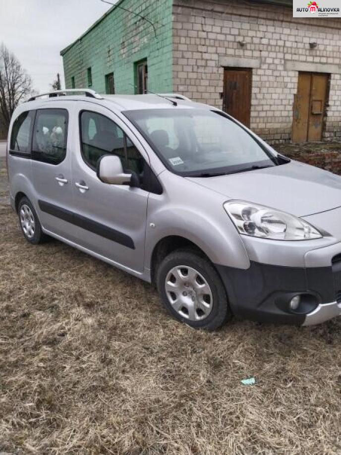 Купить Peugeot Partner II в городе Петриков